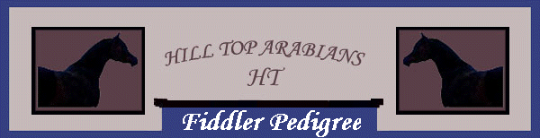 Fiddler Pedigree