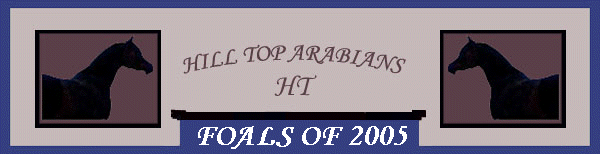 FOALS OF 2005