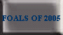 FOALS OF 2005